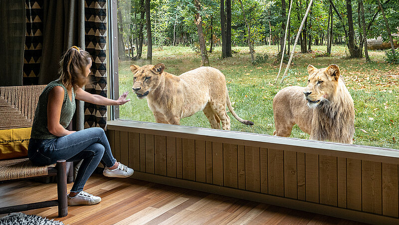 Lodge Lions
