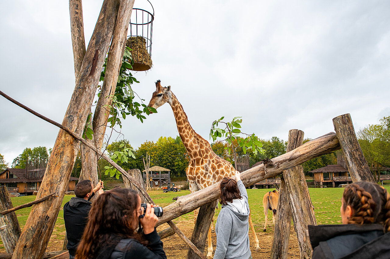 zoo african safari soigneur d'un jour