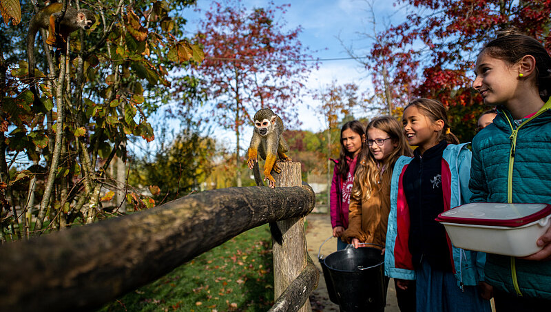 Soigneur Junior 7-12 ans