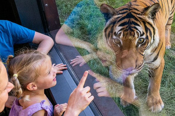 safari planete sauvage nantes