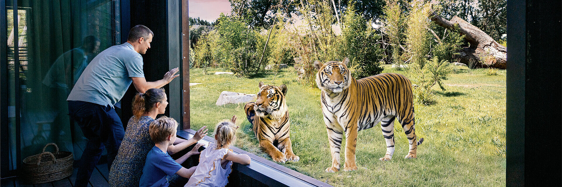  Planète Safari Lodges Experience