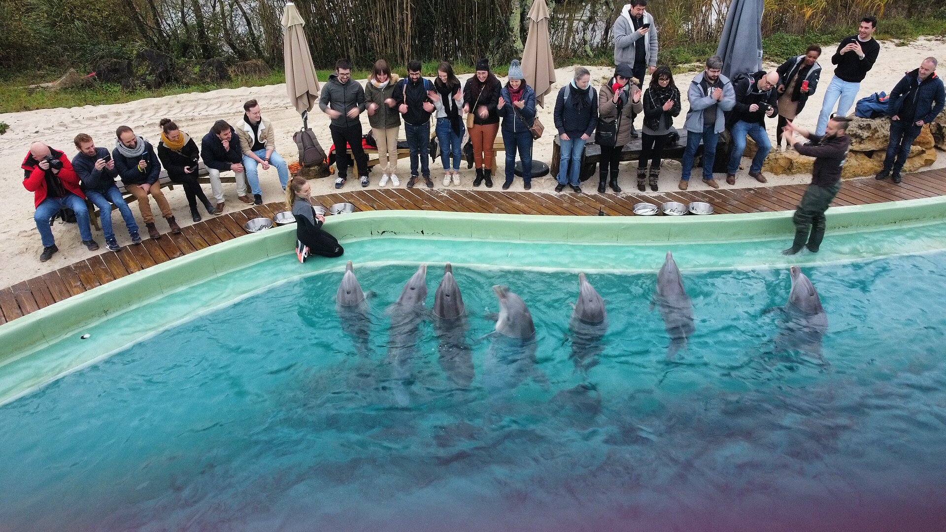 La Rencontre avec les Dauphins