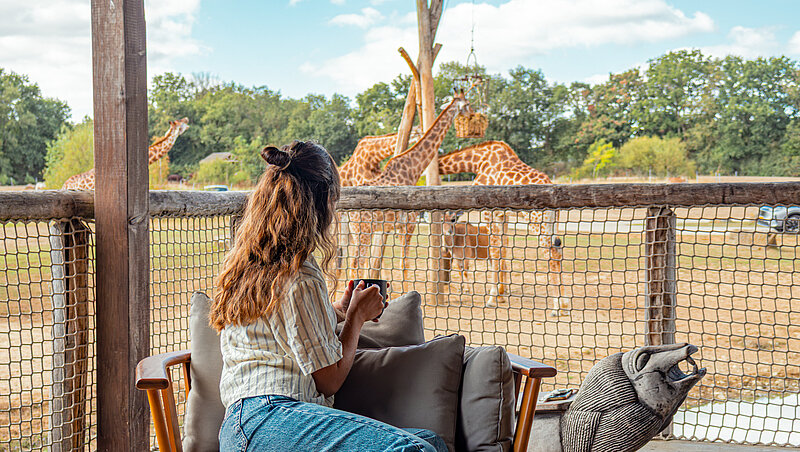 Lodge Savannah