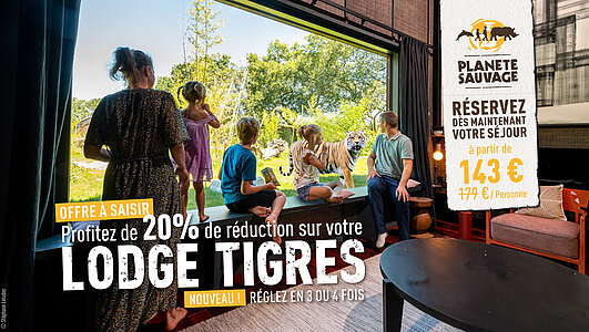 Offre à saisir 