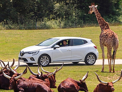 2. Le plus grand Safari de France
