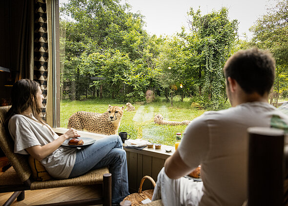 Lodge Guépard (c) Enzo Launay