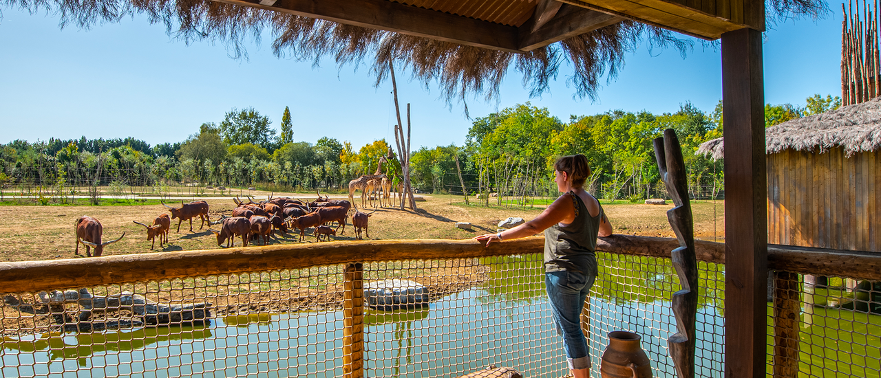 safari planete sauvage nantes