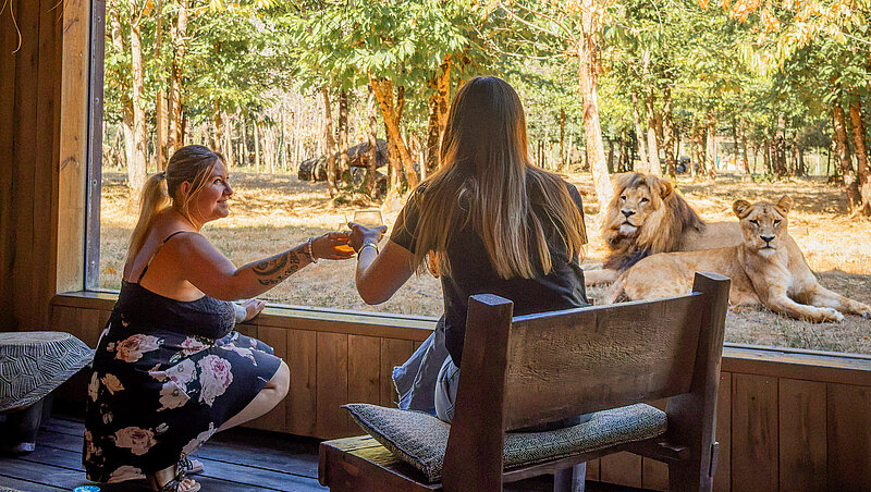 Lodge Lions