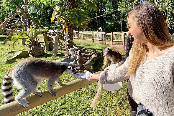 safari planete sauvage nantes