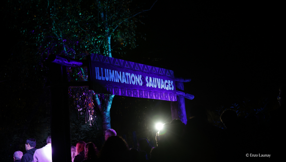 Illuminations Sauvages 