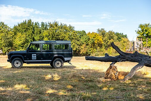 parc safari acheter billet