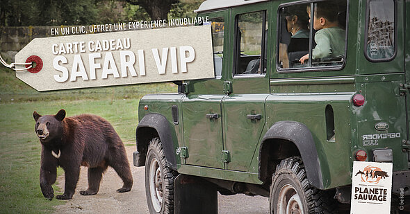 Carte cadeau Safari VIP
