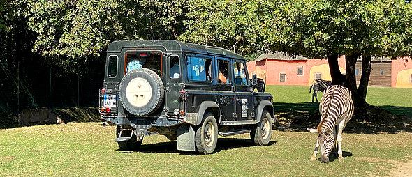 Safari Excellence