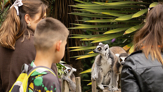 Dream Night at the Zoo : troisième édition