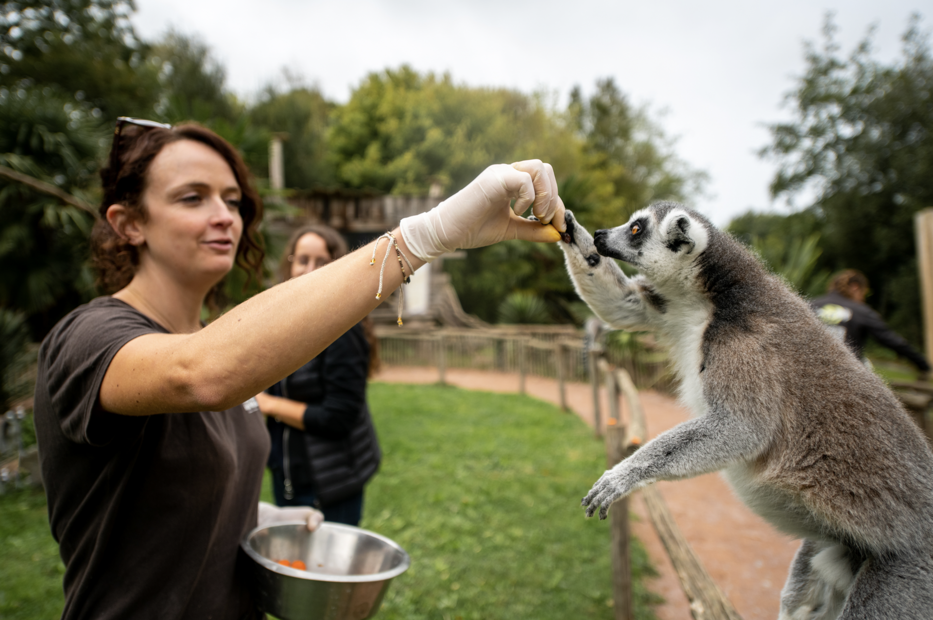 Devenir soigneur animalier