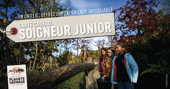 Carte cadeau Soigneur junior