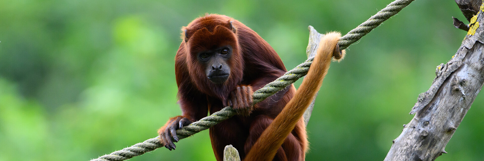 Journée portes ouvertes CSE