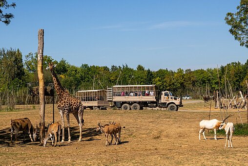 parc safari acheter billet