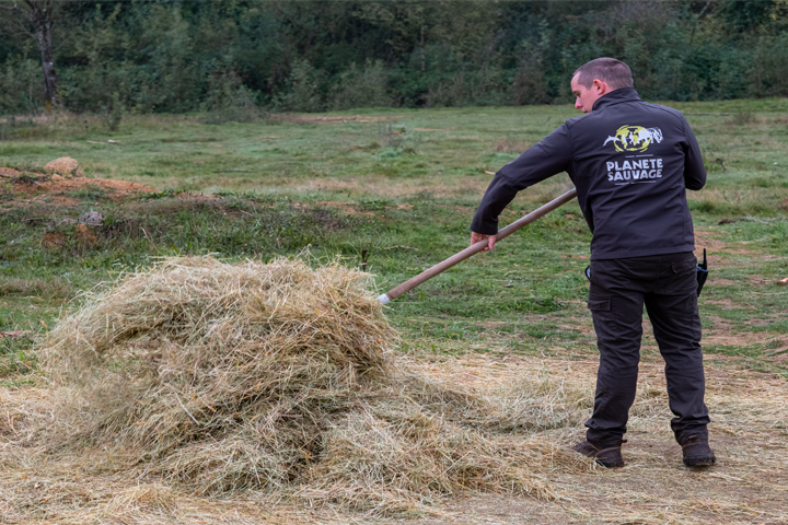 Comment devenir soigneur animalier