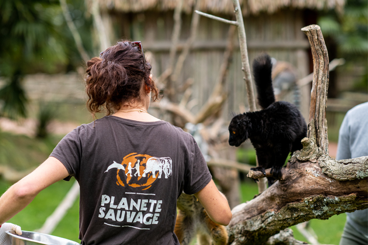 Comment devenir soigneur animalier