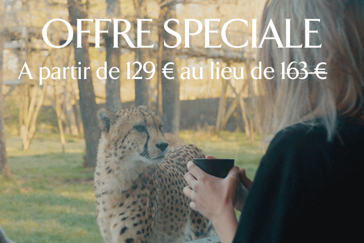Offre spéciale séjour