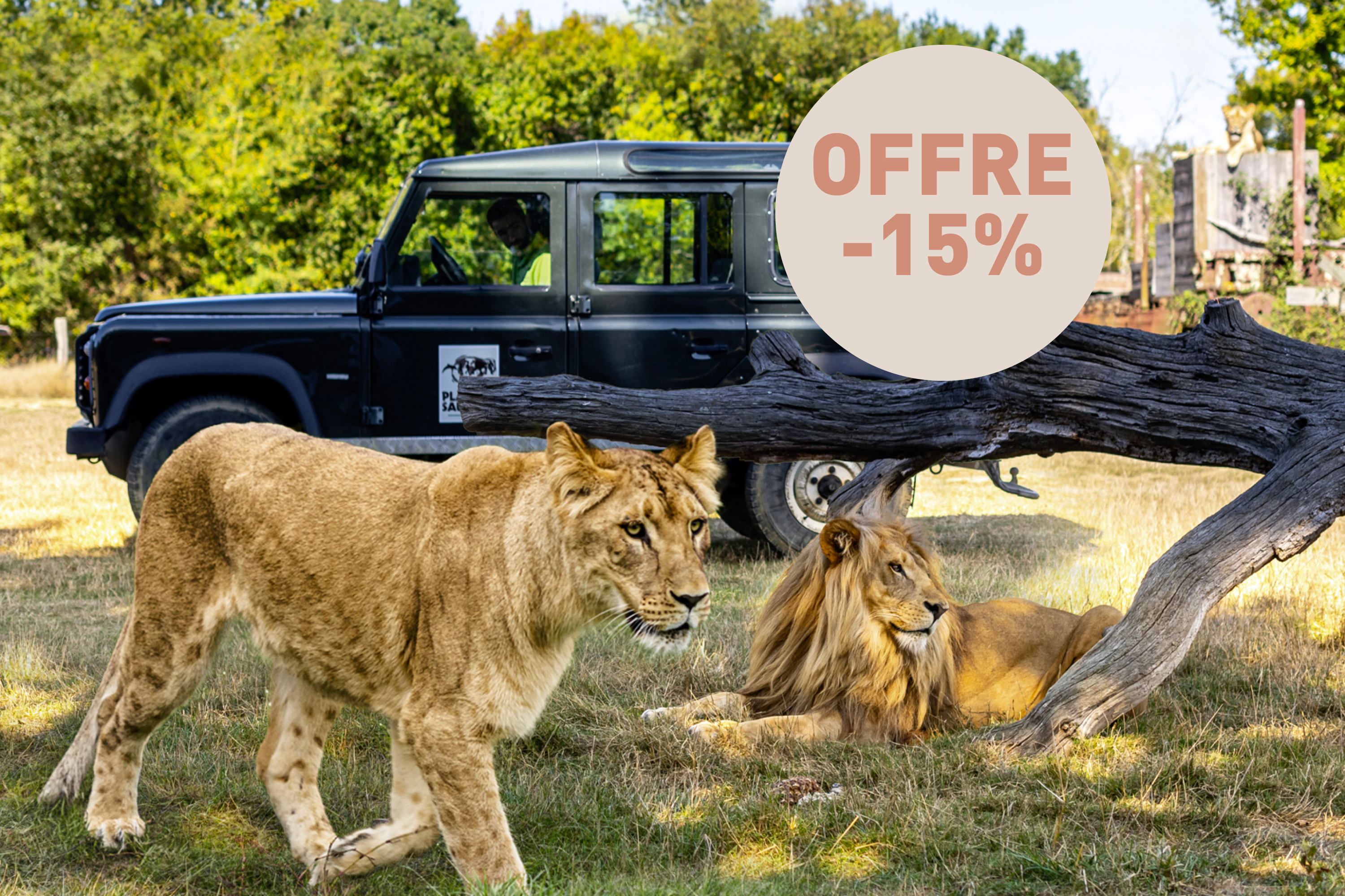Safari VIP