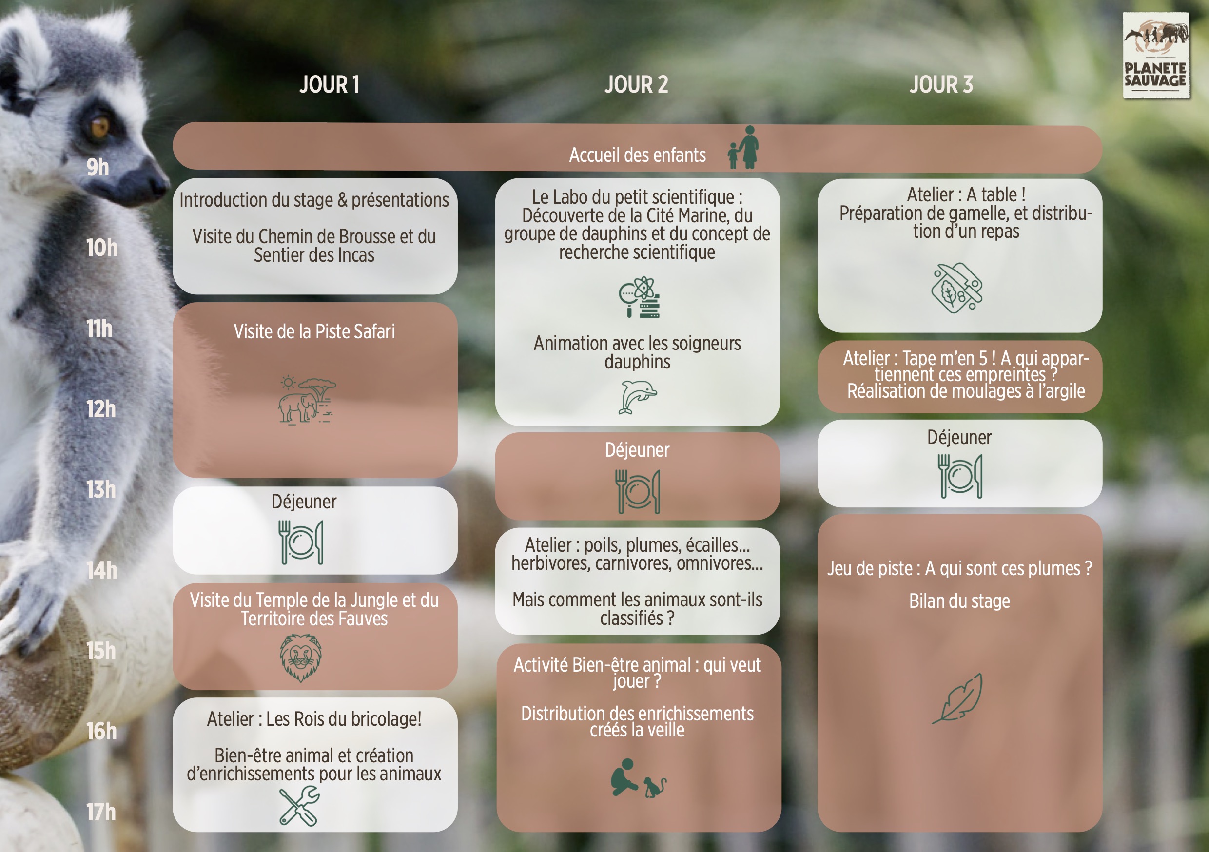Conditions de réservation :