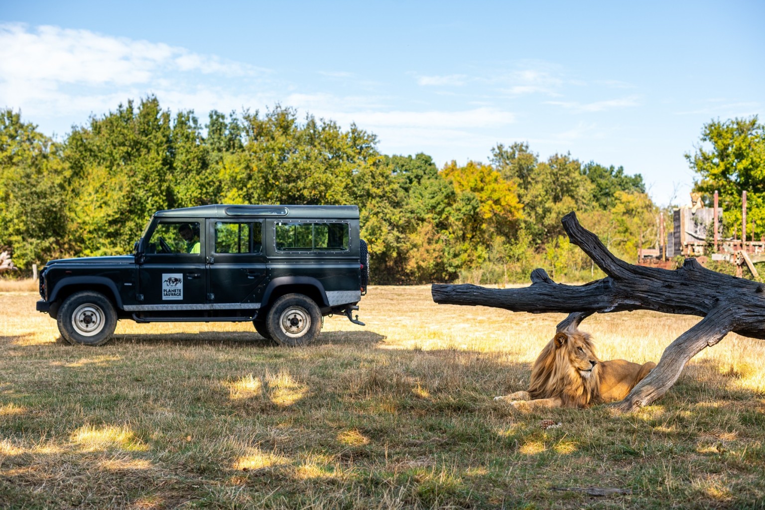 Safari VIP