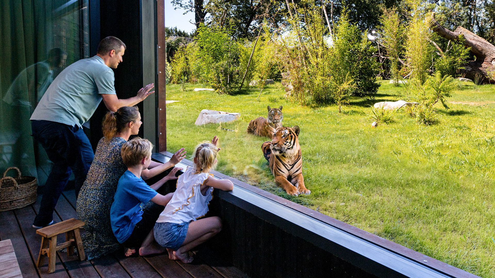 Bienvenue à Planète Safari Lodges