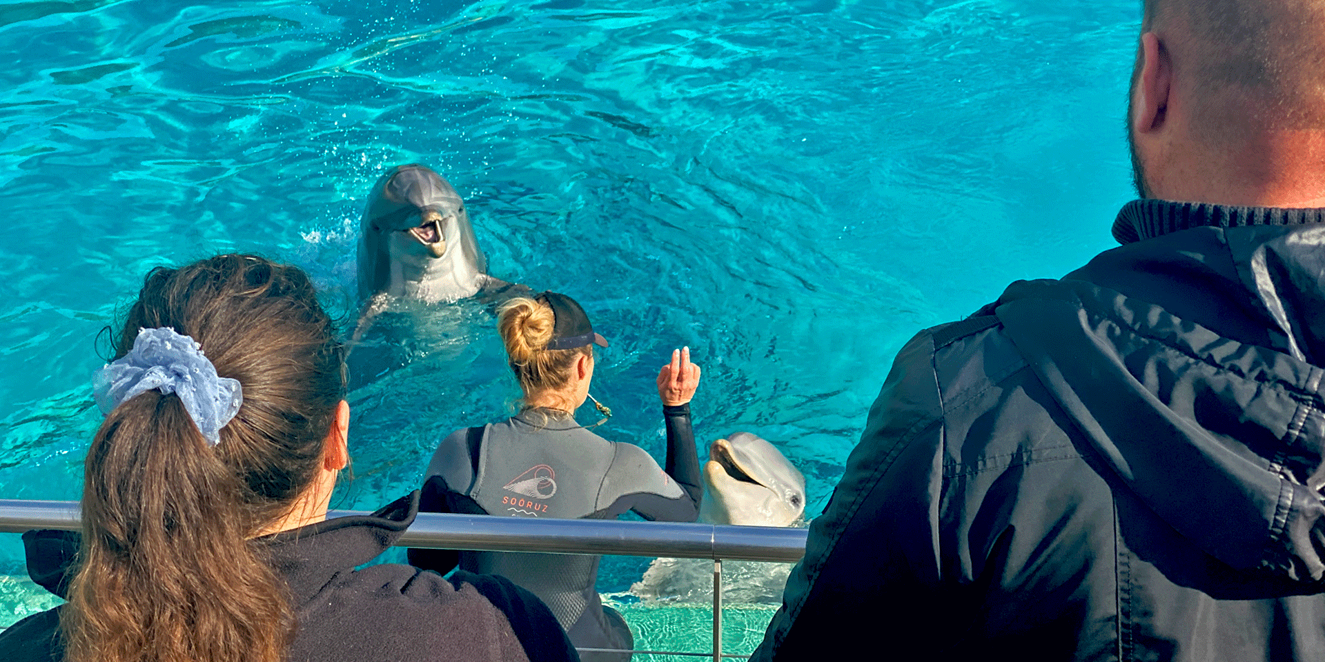 Carte cadeau Rencontre avec les Dauphins