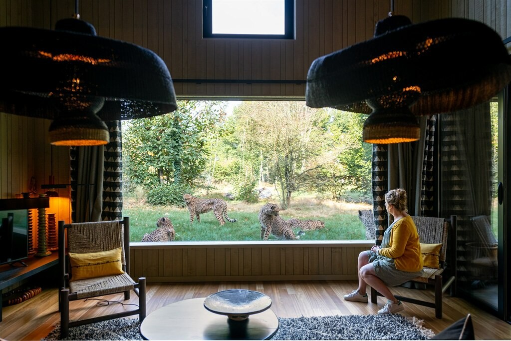 Lodges Guépards